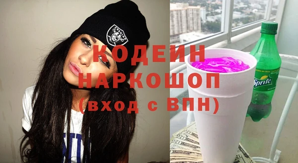 хмурый Алзамай